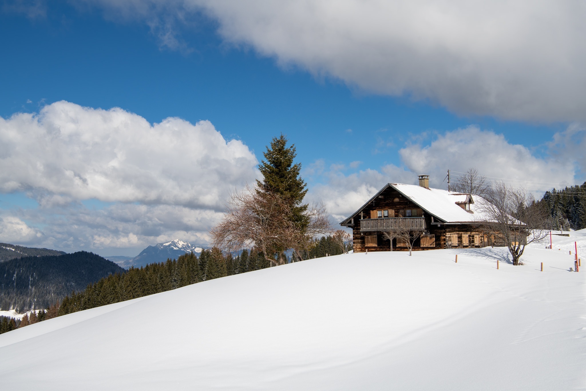 Hütte vorher