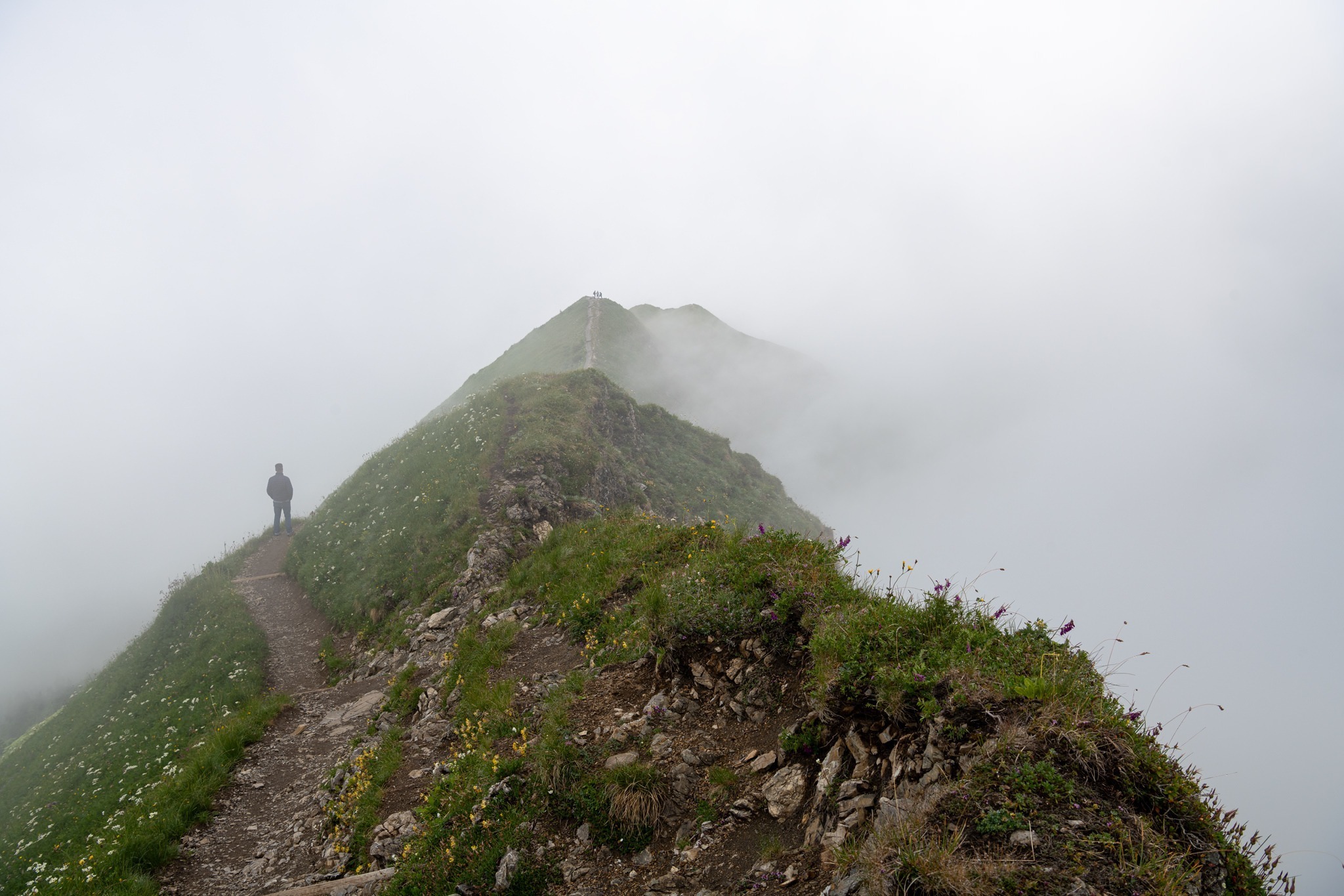 berg nebel vorher